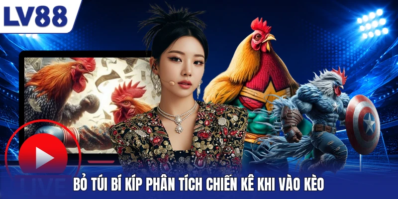 Bỏ túi bí kíp phân tích chiến kê khi vào kèo