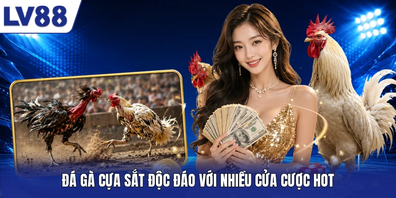 Đá Gà Cựa sắt độc đáo với nhiều cửa cược hot